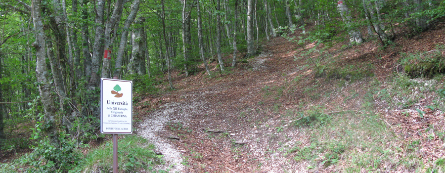 Monte Catria Sentiero 55 - immagine 9