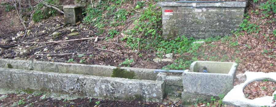 Monte Catria Sentiero 55 - immagine 10 (Fonte Acera)