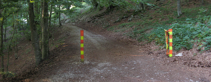Monte Catria Sentiero 55 - immagine 11