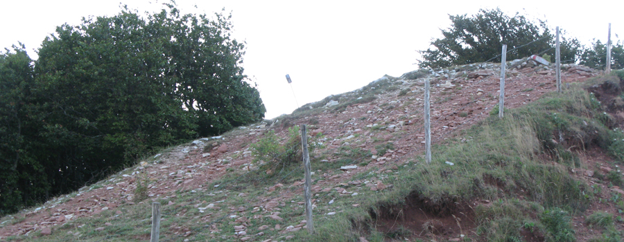 Monte Catria Sentiero 55 - immagine 12