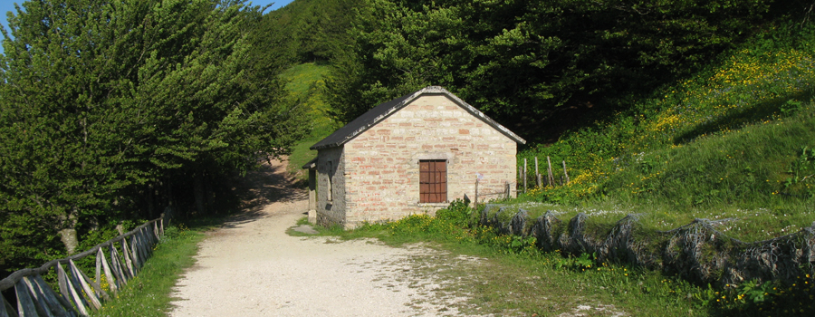 Monte Catria Sentiero 55 - immagine 14 (Rifugio Vernosa)
