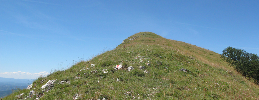 Monte Catria Sentiero 56 - immagine 4