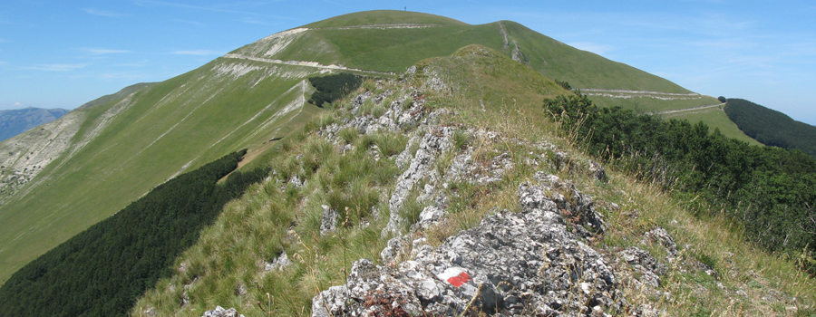 Monte Catria Sentiero 56 - immagine 5