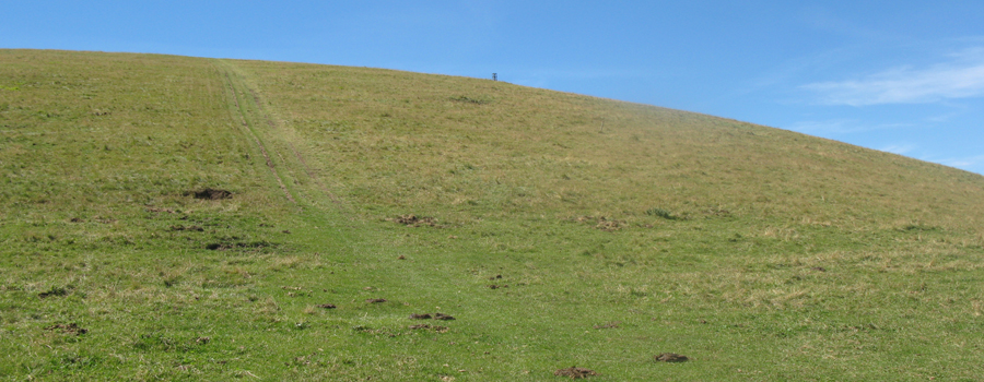 Monte Catria Sentiero 56 - immagine 9