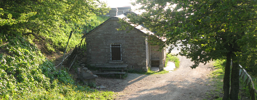 Monte Catria Sentiero 56 - immagine 14 (Rifugio Vernosa)