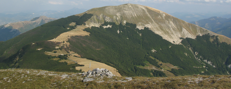Monte Catria Sentiero 58 - immagine 4 (Monte Catria dal Monte Acuto)