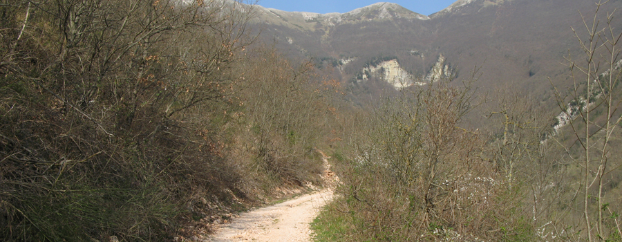Monte Catria Sentiero 59 - immagine 2