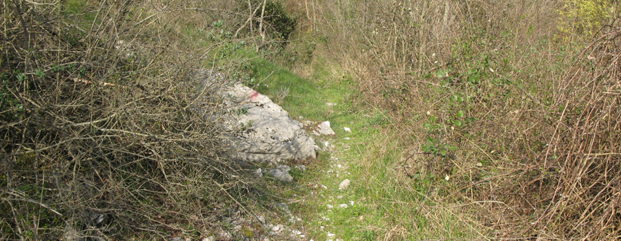 Monte Catria Sentiero 59 - immagine 4