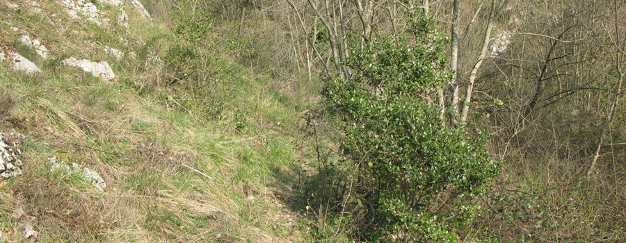 Monte Catria Sentiero 59 - immagine 5
