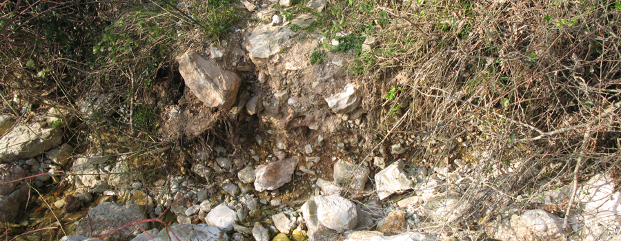 Monte Catria Sentiero 59 - immagine 6