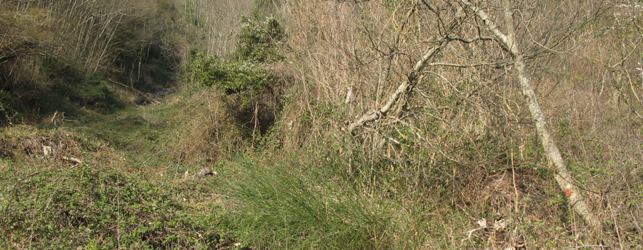 Monte Catria Sentiero 59 - immagine 7