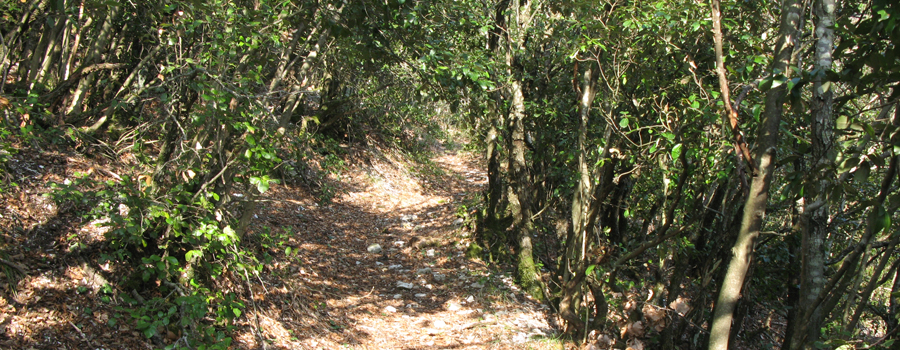 Monte Catria Sentiero 59 - immagine 9