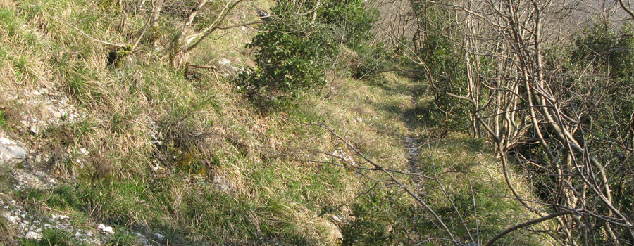 Monte Catria Sentiero 59 - immagine 10