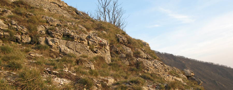 Monte Catria Sentiero 59 - immagine 12