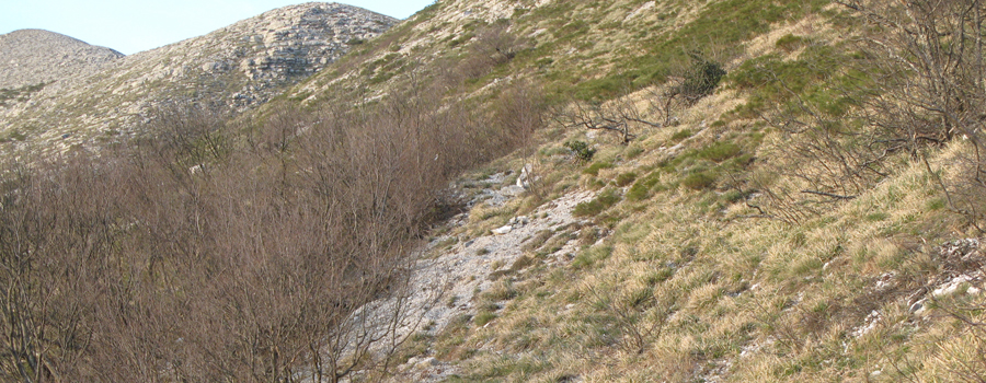 Monte Catria Sentiero 59 - immagine 13