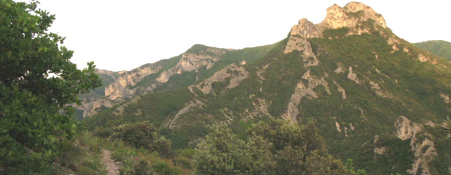 Monte Nerone Sentiero 6 - immagine 6