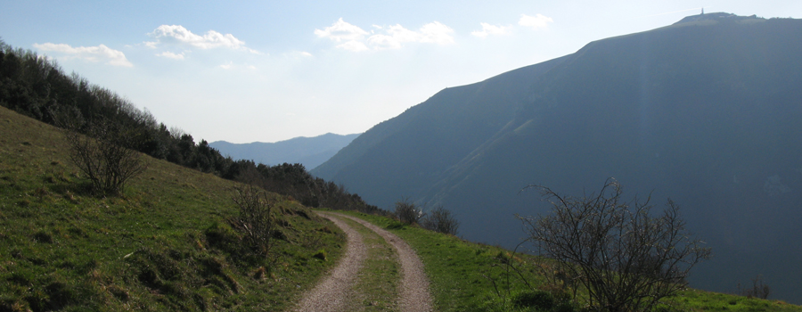 Monte Catria Sentiero 60 - immagine 7
