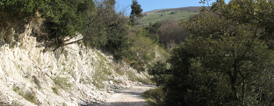 Monte Catria Sentiero 60 - immagine 8
