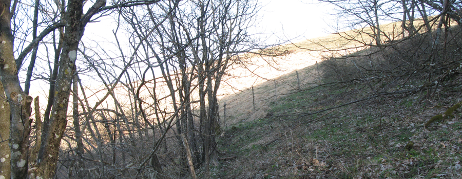 Monte Catria Sentiero 60 - immagine 11