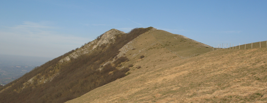 Monte Catria Sentiero 60 - immagine 12 (Cresta Monte Morcia)