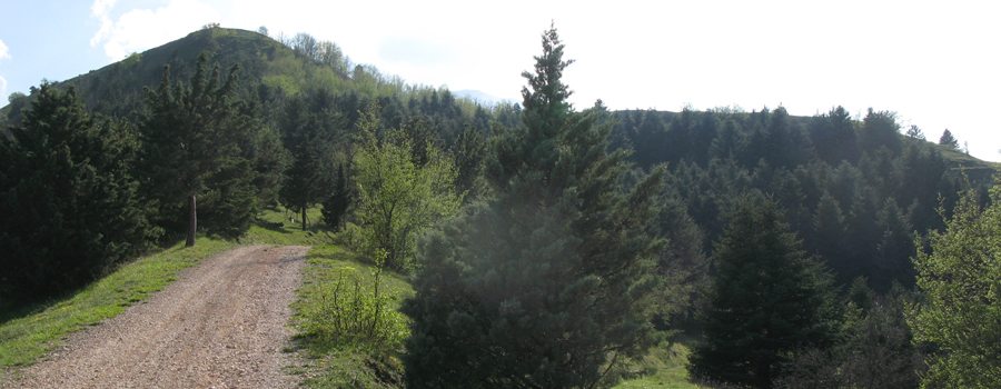 Monte Catria Sentiero 61 - immagine 3