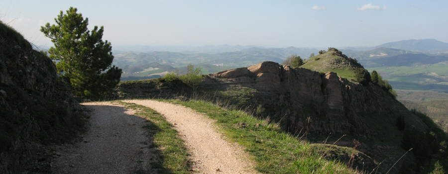 Monte Catria Sentiero 61 - immagine 4