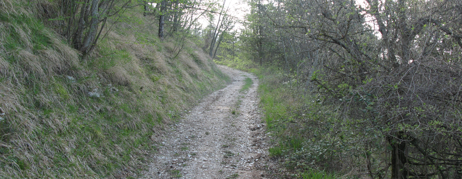 Monte Catria Sentiero 61 - immagine 5