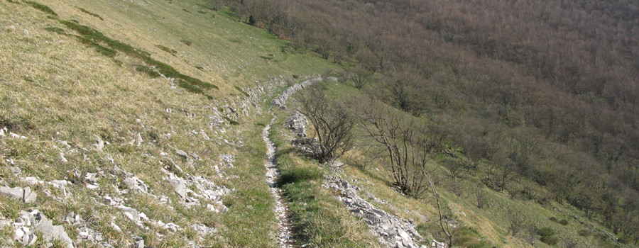 Monte Catria Sentiero 61 - immagine 7