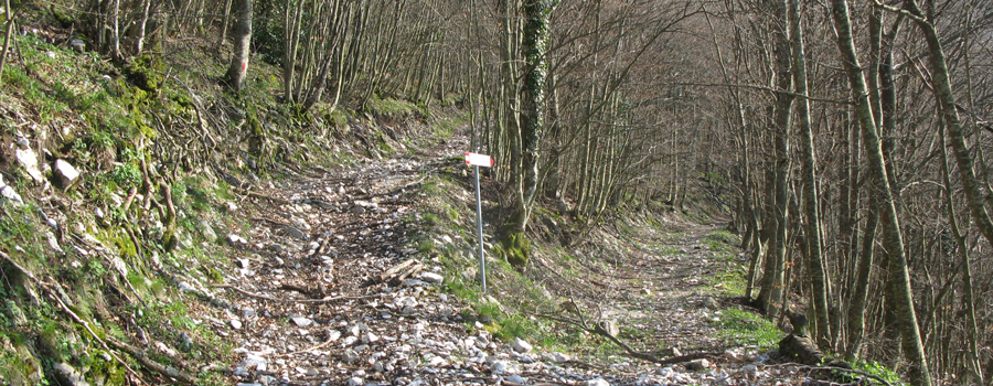 Monte Catria Sentiero 61 - immagine 8