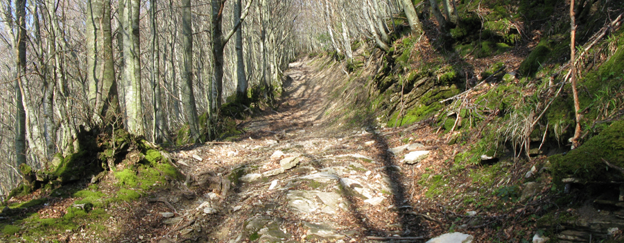Monte Catria Sentiero 61 - immagine 9