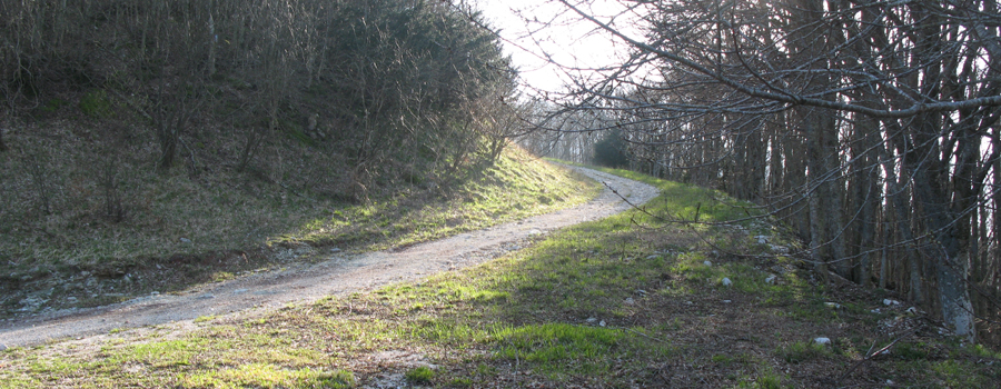 Monte Catria Sentiero 61 - immagine 10