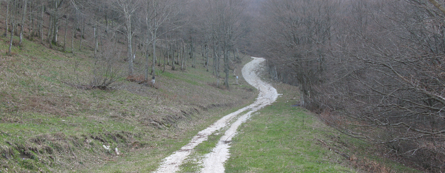 Monte Catria Sentiero 61 - immagine 11