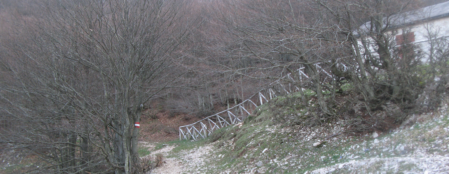 Monte Catria Sentiero 61 - immagine 12 (Rifugio Le Gorghe)