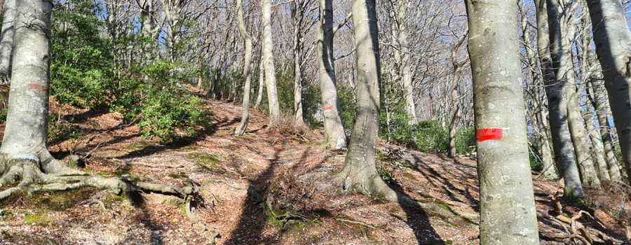 Monte Catria Sentiero 62 - immagine 2