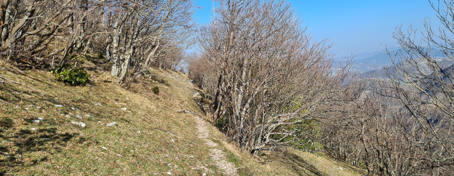 Monte Catria Sentiero 62 - immagine 4