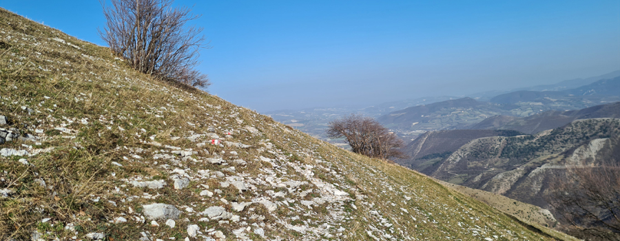 Monte Catria Sentiero 62 - immagine 5