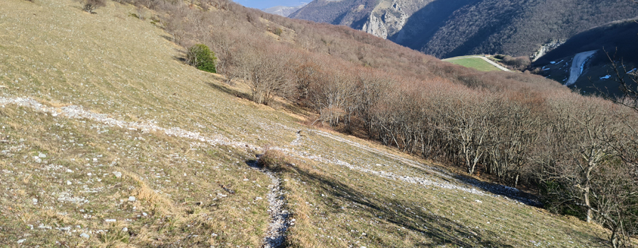 Monte Catria Sentiero 62 - immagine 10