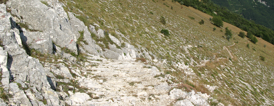 Monte Catria Sentiero 63 - immagine 1