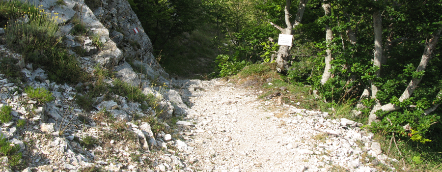 Monte Catria Sentiero 63 - immagine 3