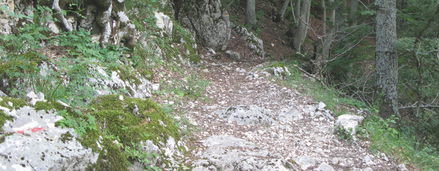 Monte Catria Sentiero 63 - immagine 4