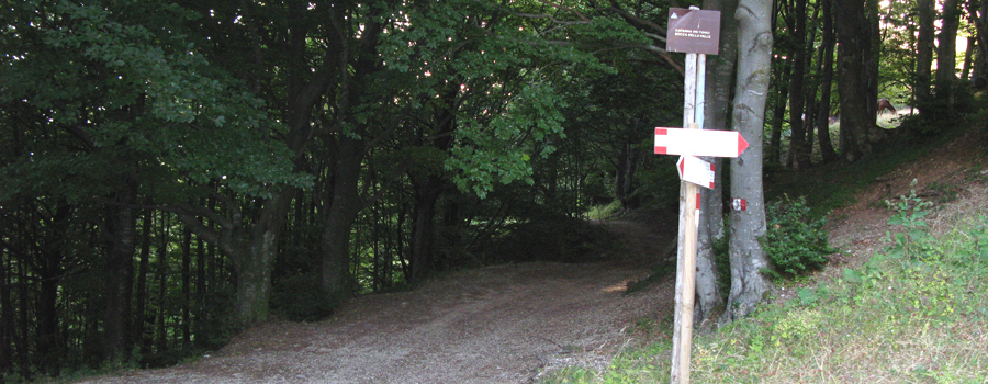 Monte Catria Sentiero 63 - immagine 5