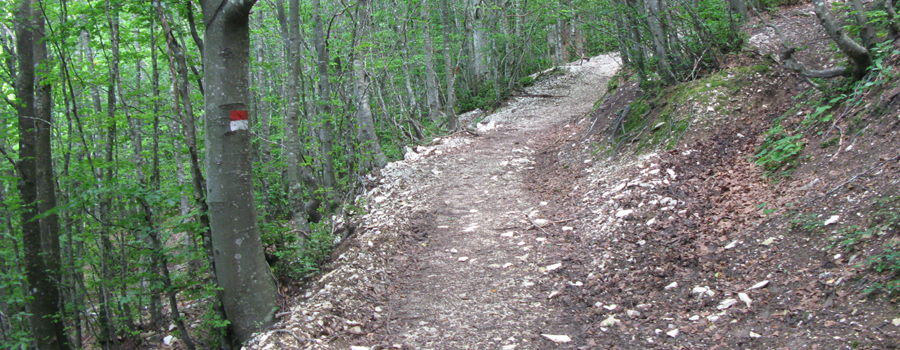 Monte Catria Sentiero 64 - immagine 2