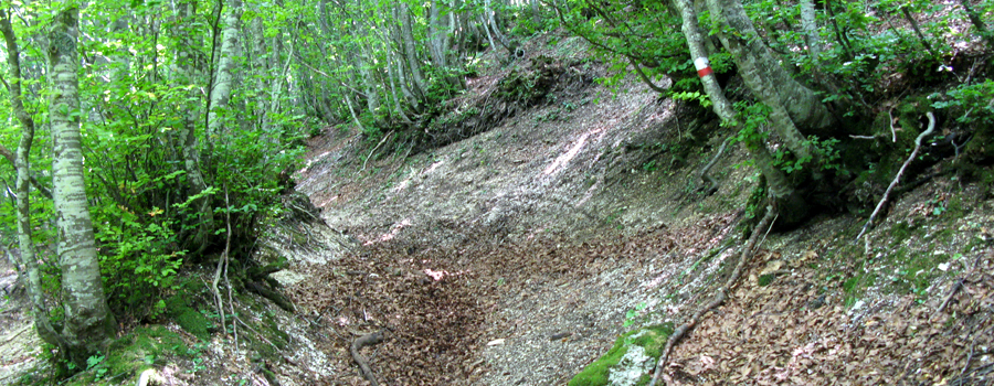 Monte Catria Sentiero 64 - immagine 3