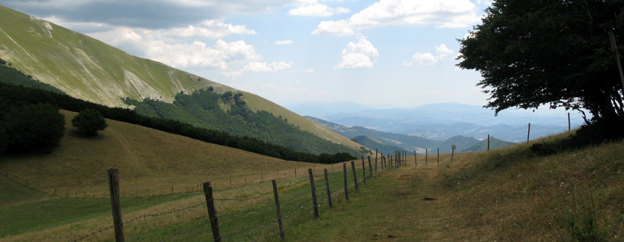 Monte Catria Sentiero 64 - immagine 7