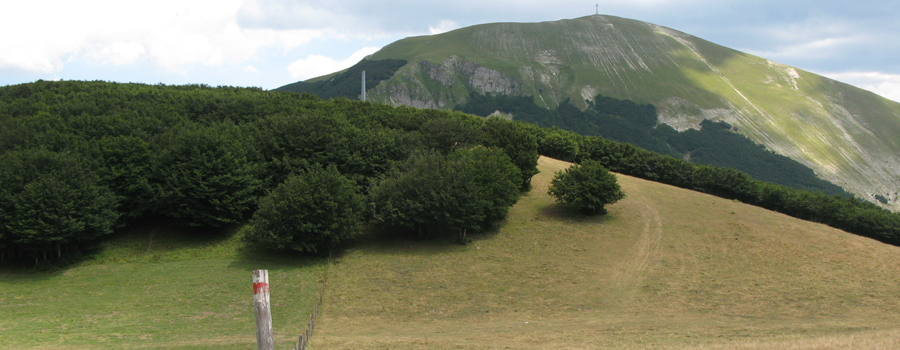 Monte Catria Sentiero 64 - immagine 8