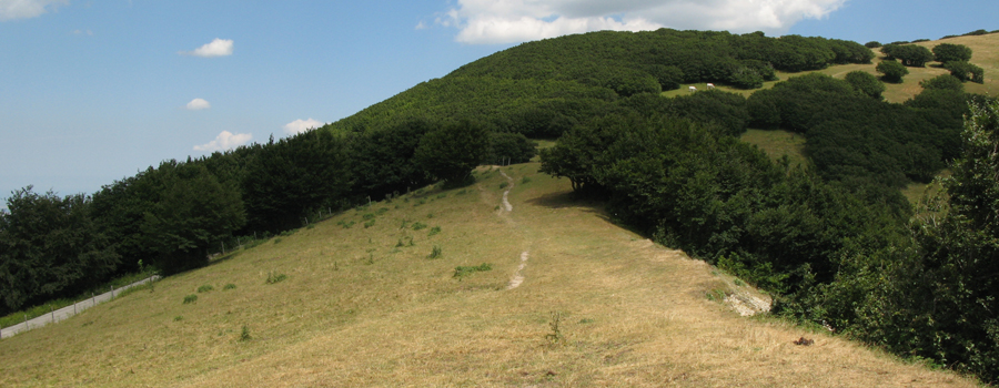 Monte Catria Sentiero 64 - immagine 9