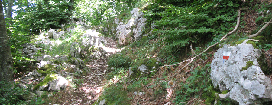 Monte Catria Sentiero 65 - immagine 5