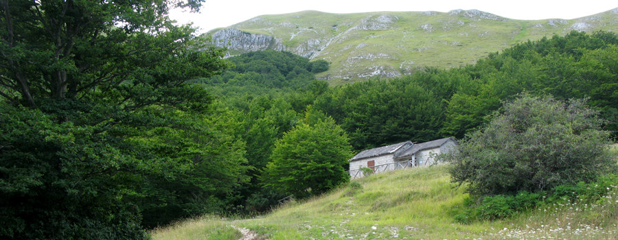 Monte Catria Sentiero 65 - immagine 9 (Rifugio Le Gorghe)