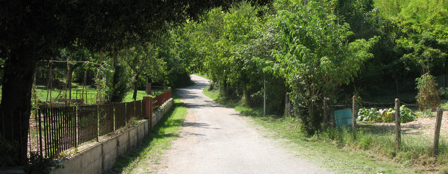 Monte Catria Sentiero 66 - immagine 1