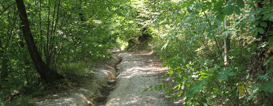 Monte Catria Sentiero 66 - immagine 2